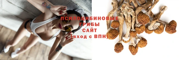 прущие крисы Елабуга
