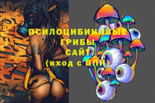 мдма Ельня