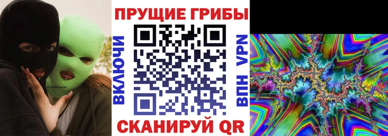 Купить закладки  Чухлома  Псилоцибиновые грибы MAGIC MUSHROOMS 